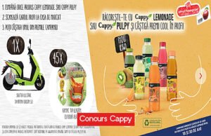 Concurs Profi