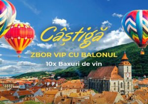 Domeniile Davidescu concurs