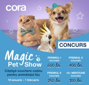 Concurs animale de companie
